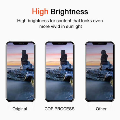 For iPhone 13 Pro Max DD Hard OLED Screen, Remove IC Need Professional Repair, For iPhone 13 Pro Max(Hard OLED)
